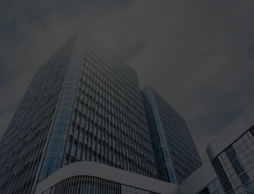 COMPANY SETUP IN FREE ECONOMIC ZONE
