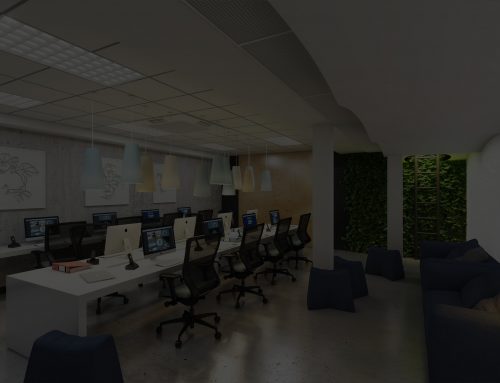 IT COMPANY SETUP IN VIRTUAL ZONE